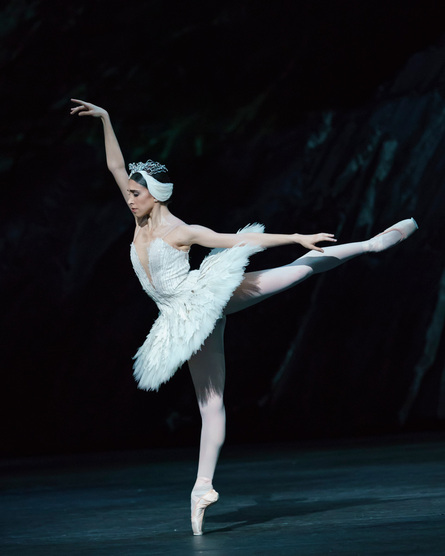 Roh Swan Lake Ballet Encore 