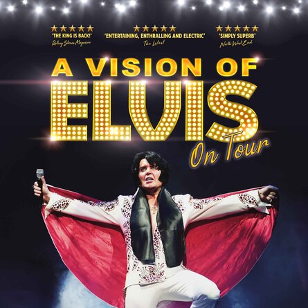 A Vision Of Elvis 