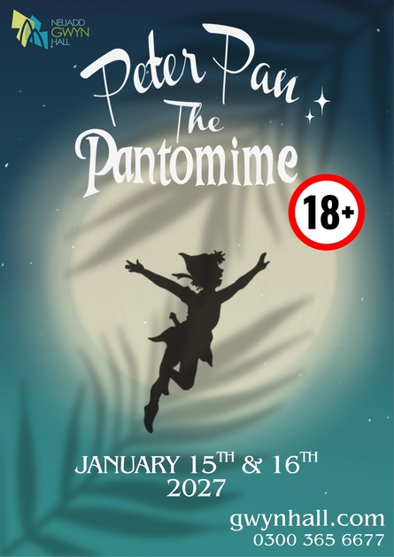 Peter Pan The Pantomime Adult 