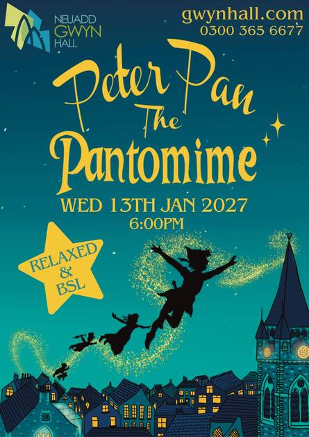 Peter Pan The Pantomime Bsl Relaxed 
