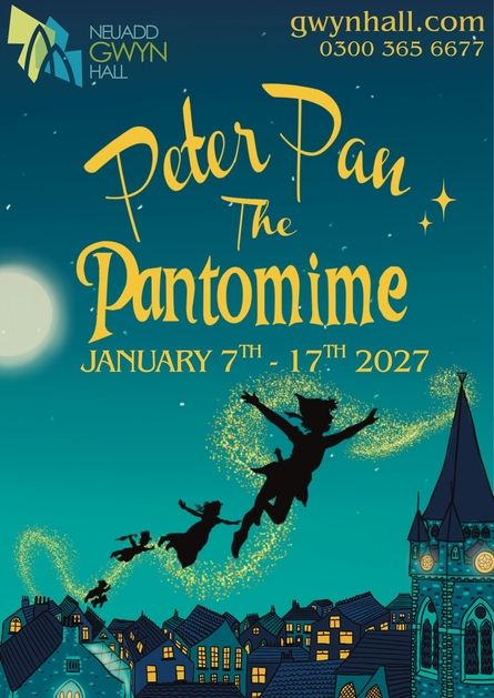 Peter Pan The Pantomime 